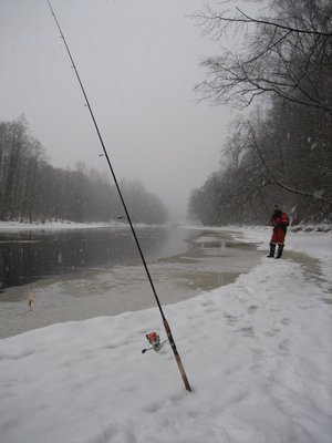 IMG_2311.JPG