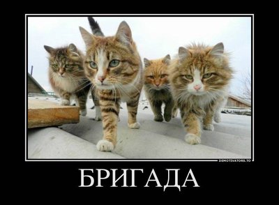 aaeb873613dd653d016d199bae83f46abce849138062254.jpg