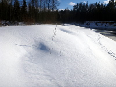 P1020124.JPG
