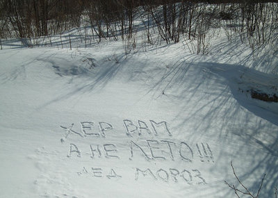 136337065792563083.jpg