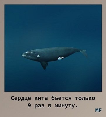 eb7f14b1be0e.jpg