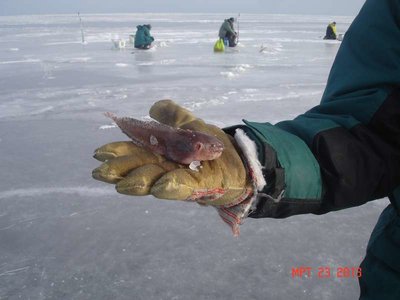 DSC08962_thumb.jpg