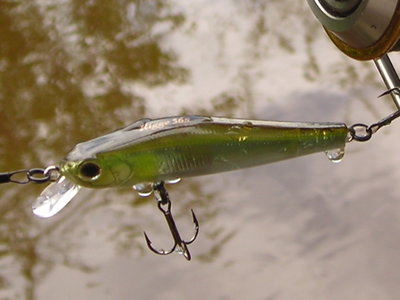 Zipbaits Rigge 56 S