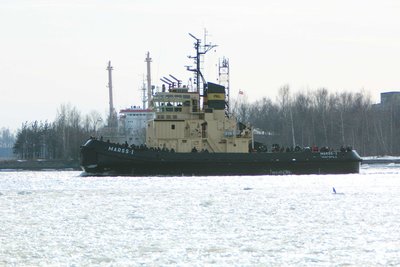 mols 007.jpg