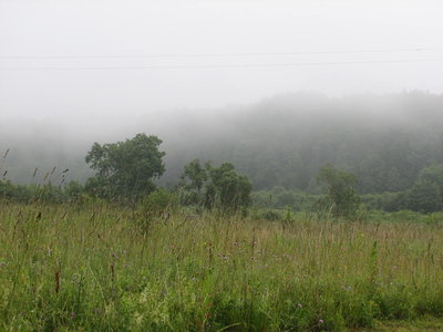 IMG_0052.JPG