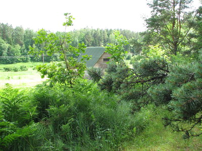 IMG_0011.JPG