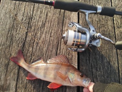 20130422_193621.jpg