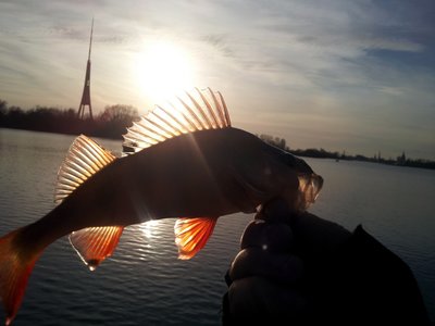 20130422_193550.jpg