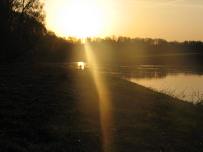 IMG_0011.JPG