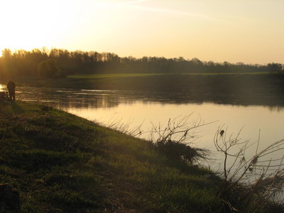 IMG_0012.JPG