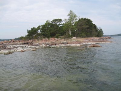 Priroda 4.jpg