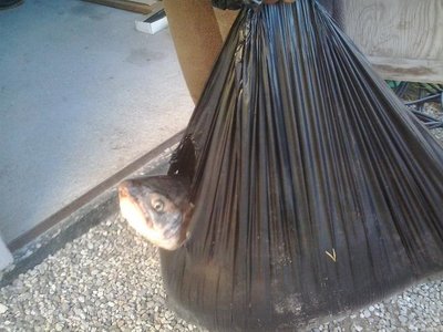 2013-06-12 21.02.55.jpg