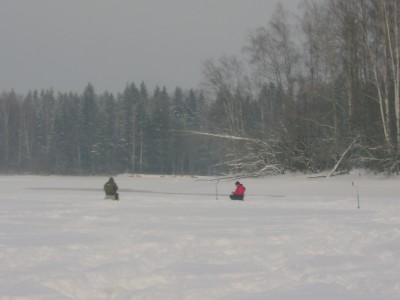 Семья Патронов