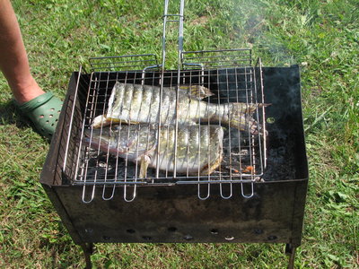 IMG_0028.JPG
