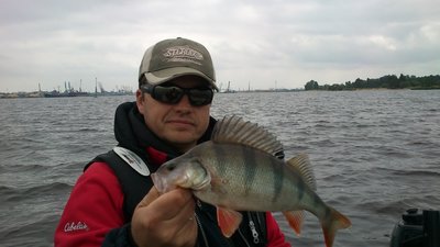DSC_0278.jpg
