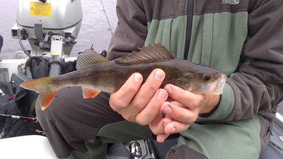 DSC_0285[1].jpg