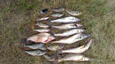 DSC_0291[1].jpg