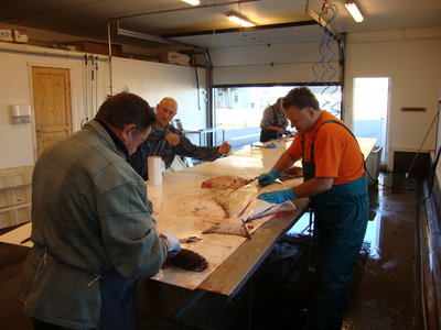 DSC02050.JPG