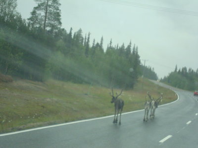 DSC02140.JPG
