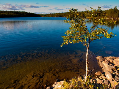 Inari_2013_14_small.jpg