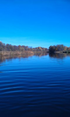 IMAG0987.jpg