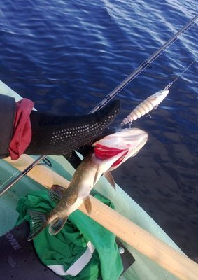 WP_20131205_002.jpg