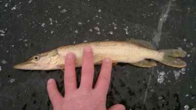 2014-02-03-540_thumb.jpg