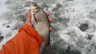 2014-02-09-553_thumb.jpg