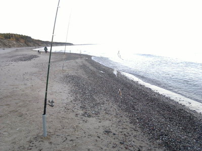 2014-03-29-231_1.jpg