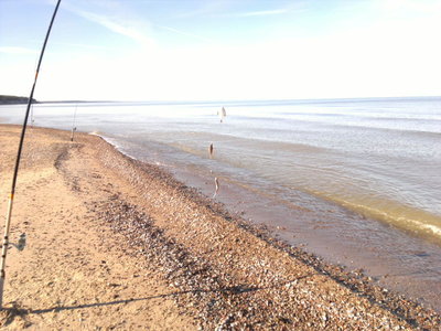 2014-03-29-240_1.jpg