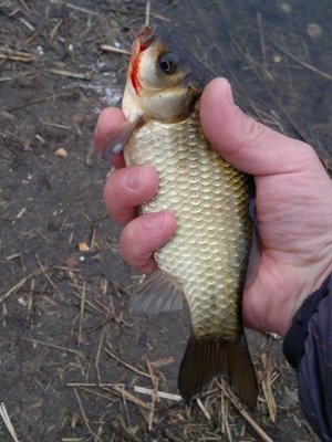 2014-04-08-019_thumb.jpg