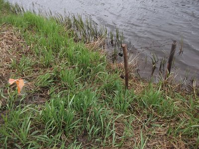 заборчик под электротоком