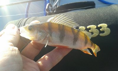 20140517_072308.jpg