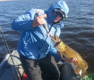 2014-05-15 17.50.16.jpg