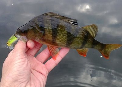 WP_20140607_006.jpg