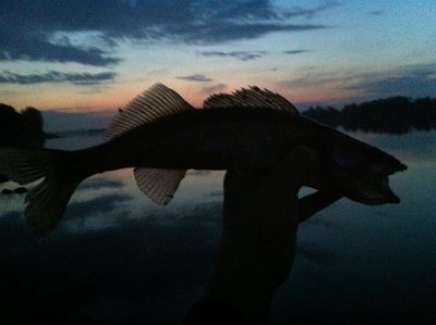 IMG_2397.jpg