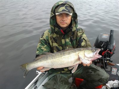 2.5 кг.