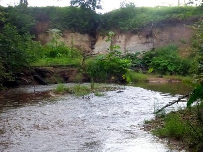nature1.JPG