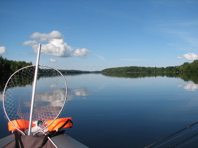 IMG_0062.JPG