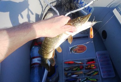 WP_20140717_004.jpg