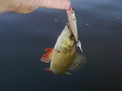 WP_20140719_004.jpg