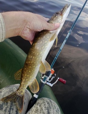 WP_20140719_003.jpg