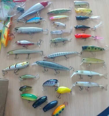 WP_20140729_003.jpg