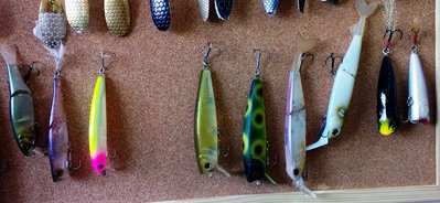 WP_20140808_004.jpg