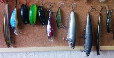 WP_20140808_003.jpg