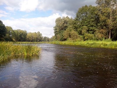 Перекатик.