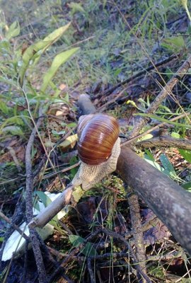 WP_20140824_010.jpg