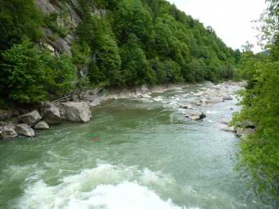 P1000343.JPG