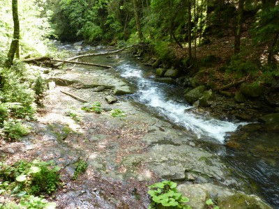 P1000578.JPG