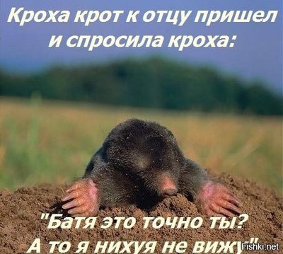 bc0ba5b5e6ee68f09a649bde6ea27e75.jpg